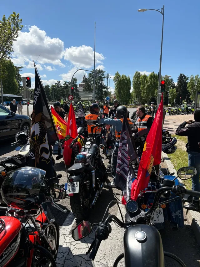 22 Km0 - Desfile solidario, photo 19 of 71, by Marta RF