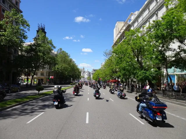 22 Km0 - Desfile solidario, photo 63 of 71, by Laura Rodríguez