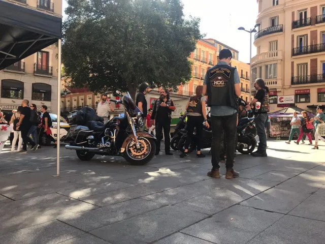 Día de la Banderita, foto 8 de 32, de Leticia Romero