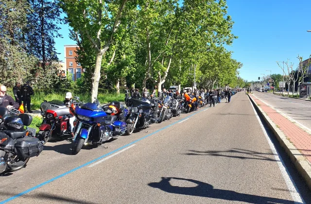 19 Km0 - Desfile solidario, foto 12 de 34, de Gregorio Moreno (Goyo)