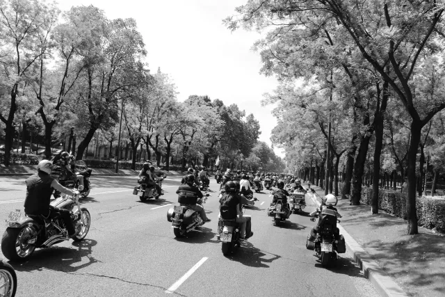 XII KM0 (Domingo), foto 96 de 106